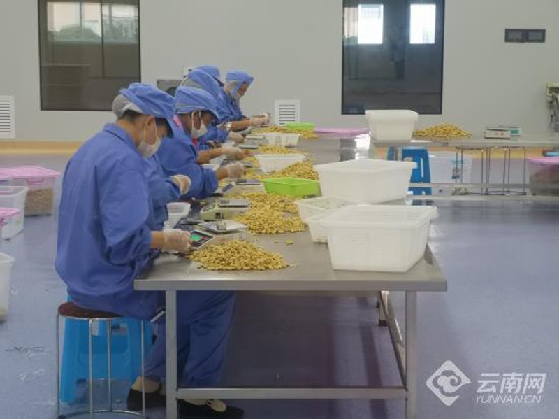大理商贸公司的故事：从传统到现代